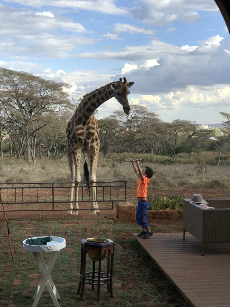 Matthew and Kelly the Giraffe at Giraffe Manor Nairobi Kenya 2017